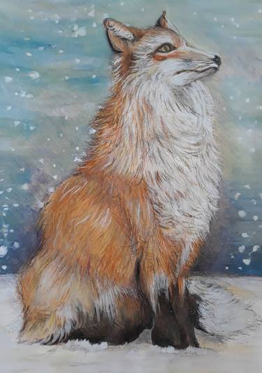 Red fox and the Northern winter thumb