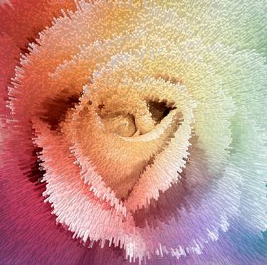 Rainbow rose explosion thumb