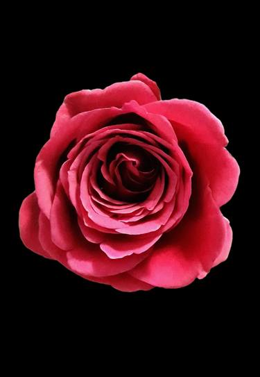 Love rose thumb