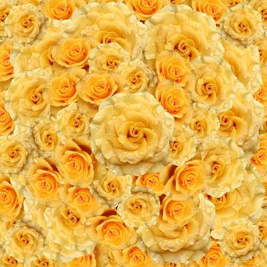 Yellow roses Kaleidoscope thumb