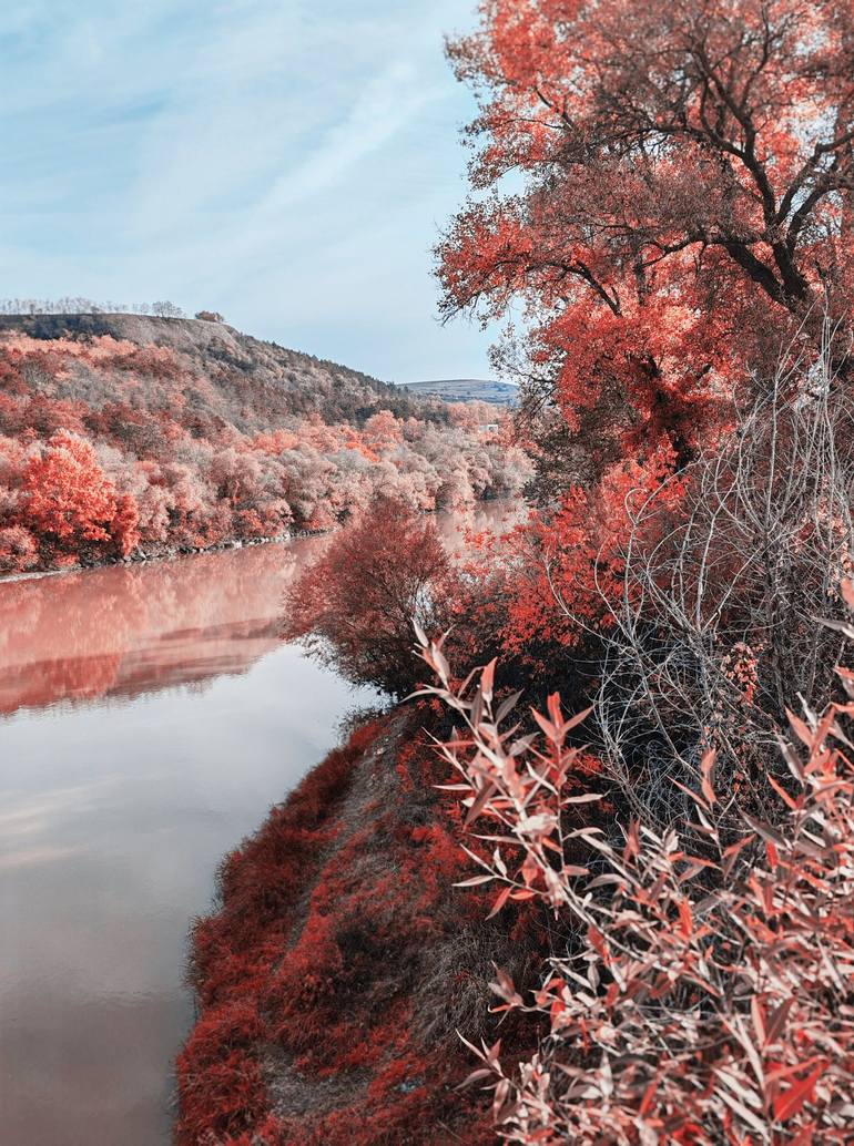 Print of Photorealism Landscape Photography by Diana Editoiu