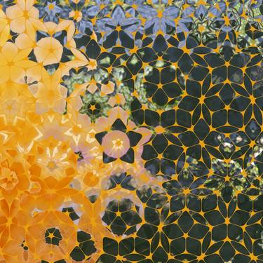 Original Conceptual Abstract Digital by Diana Editoiu