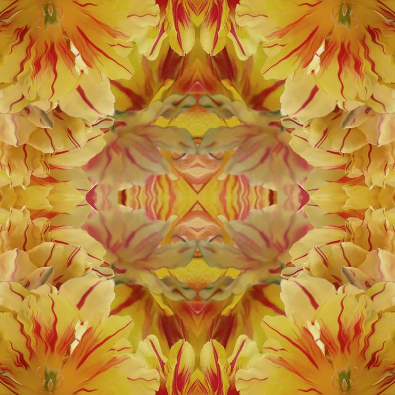 Original Abstract Floral Photography by Diana Editoiu