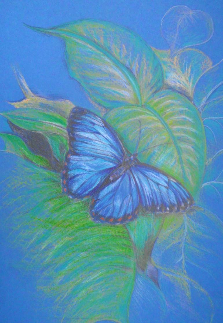 blue butterflies print by Editors Choice