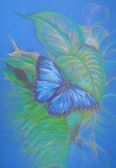 Blue butterfly thumb