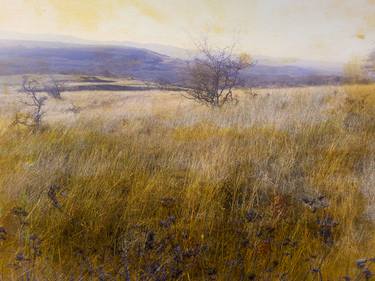 Vintage landscape - Limited Edition of 10 thumb
