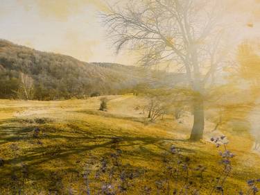 Original Photorealism Landscape Photography by Diana Editoiu