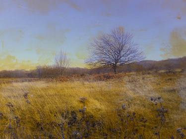 Grassland in autumn - Limited Edition of 10 thumb