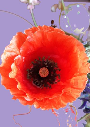 Poppy sweetness - Limited Edition of 10 thumb
