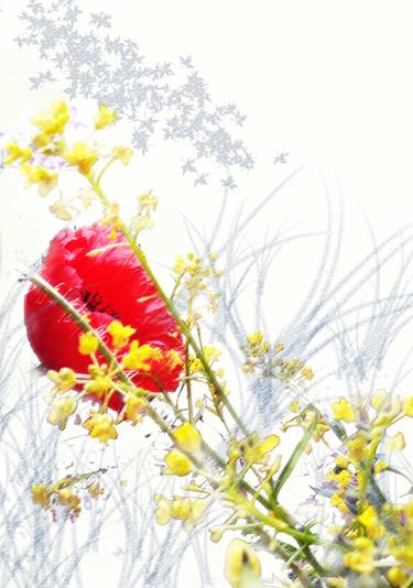 Original Realism Floral Photography by Diana Editoiu