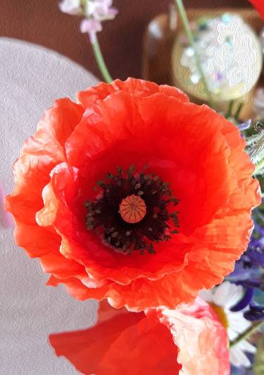 Poppy on the table - Limited Edition of 10 thumb