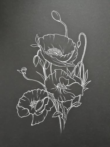 Original Floral Drawings by Diana Editoiu