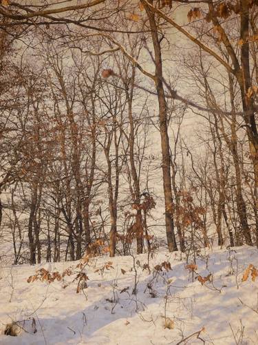 Retro winter landscape- Limited Edition of 10 thumb