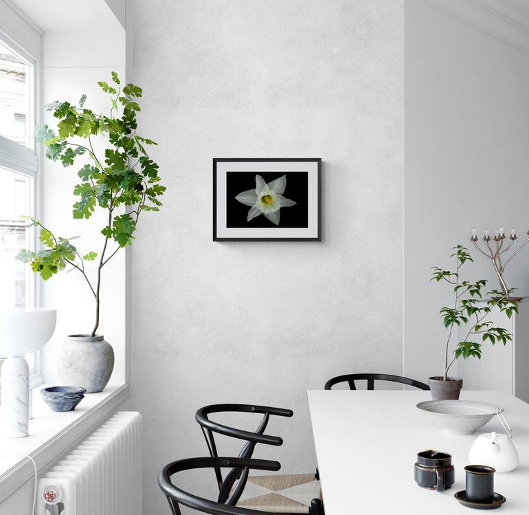 Original Photorealism Floral Photography by Diana Editoiu