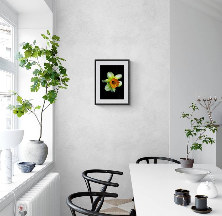 Original Photorealism Floral Photography by Diana Editoiu