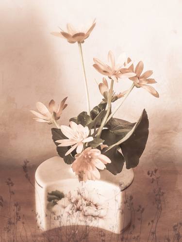 Original Fine Art Floral Mixed Media by Diana Editoiu