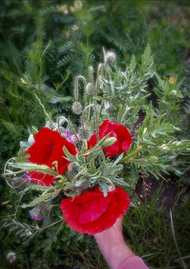 Poppy bouquet - Limited Edition of 25 thumb