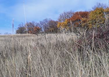 Autumn by the blade of grass - Limited Edition of 30 thumb