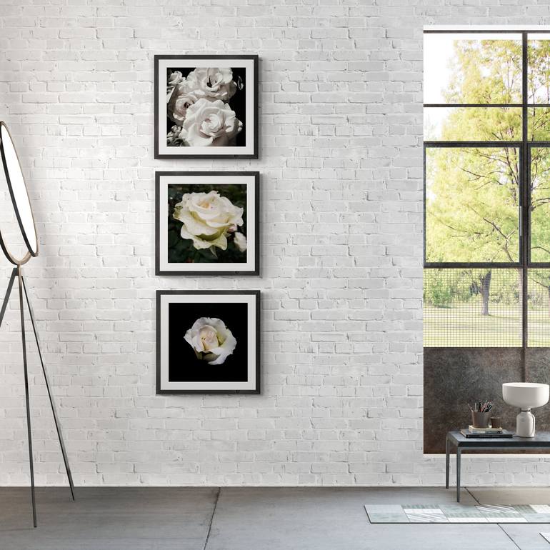 Original Photorealism Floral Photography by Diana Editoiu