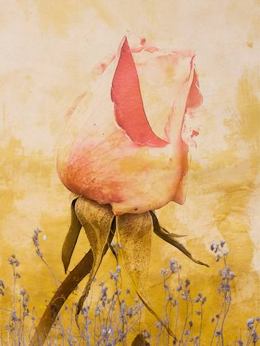 Original Floral Mixed Media by Diana Editoiu