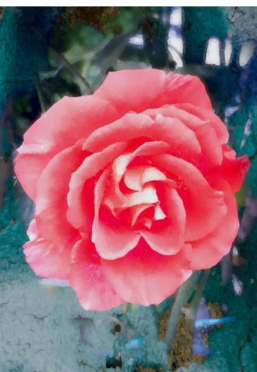 Vintage pink rose in the emerald blue garden - Limited Edition of 10 thumb