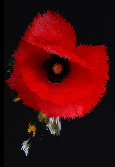 Red poppy explosion pixel art - Limited Edition of 10 thumb