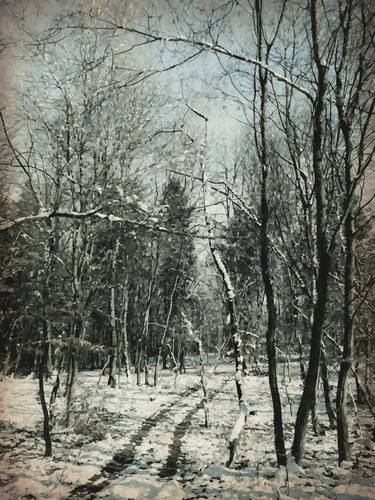 Vintage winter forest walk - Limited Edition of 5 thumb