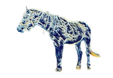 Fantastic anime blue waves horse - Limited Edition of 10 thumb