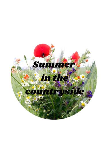 Summer in the countryside - Limited Edition of 10 thumb