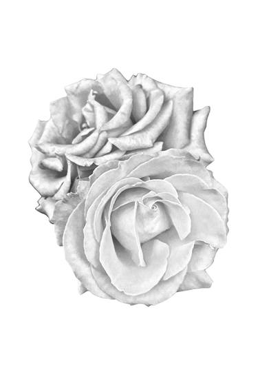 Two silver roses monochromatic romantic blooming flowers - Limited Edition of 10 thumb