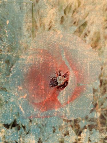 Faded vintage poppy blossom thumb