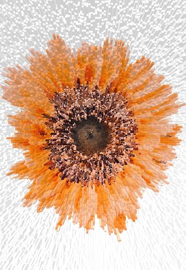 Orange sunflower explosion thumb