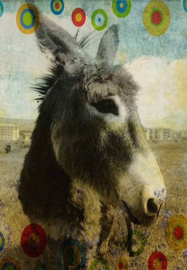 Original Animal Mixed Media by Diana Editoiu