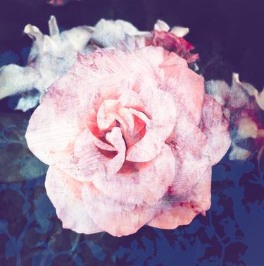 Original Photorealism Floral Photography by Diana Editoiu