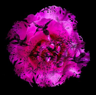 Original Abstract Floral Mixed Media by Diana Editoiu