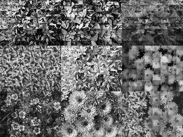 Monochromatic autumn garden collage patchwork thumb