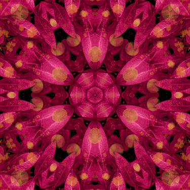 Kaleidoscope leaves mandala in viva magenta tones study2 thumb