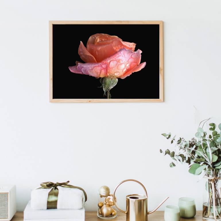 Original Photorealism Floral Photography by Diana Editoiu