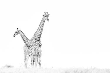 Original Animal Photography by Robin Scholte