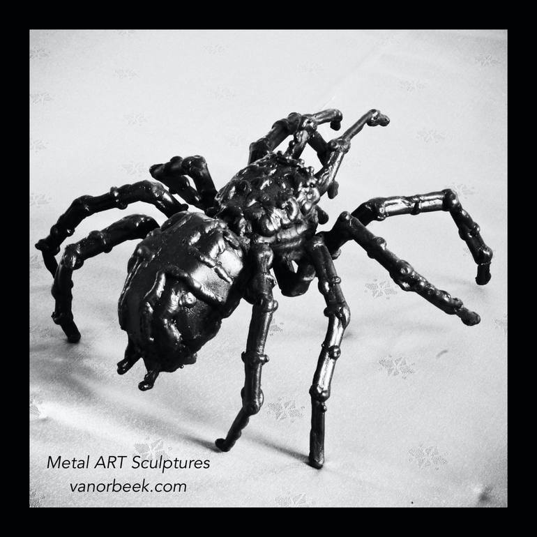 Tarantula Spider - Print