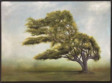 Original Tree Paintings by James Rooney