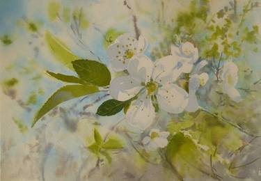Print of Impressionism Floral Paintings by Anastasiia Kolokolova