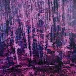 Collection Victoria Day: Canadian Landscapes