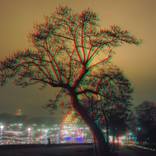 Collection Stereo 3D Photography