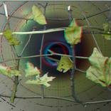 Collection 3D anaglyph prints from $48
