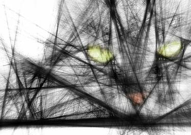Print of Abstract Cats Digital by Iryna Calinicenco