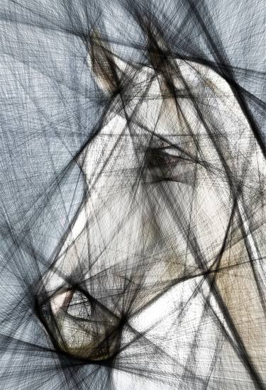 White horse. Digital manipulation. Interior photo - Limited Edition of 10 thumb