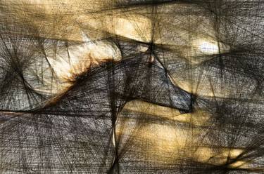 Original Abstract Horse Digital by Iryna Calinicenco