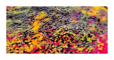 Saatchi Art Artist James Longley; Photography, “Computational Photography of Leaves and Sunlight 1” #art