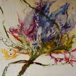 Photosynthetic Pulse by Dora Stork